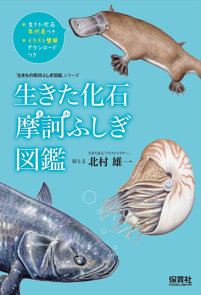 生きた化石 摩訶ふしぎ図鑑 (「生きもの摩訶ふしぎ図鑑」シリーズ
